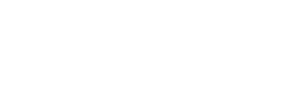 st dyke logo manipulation-w